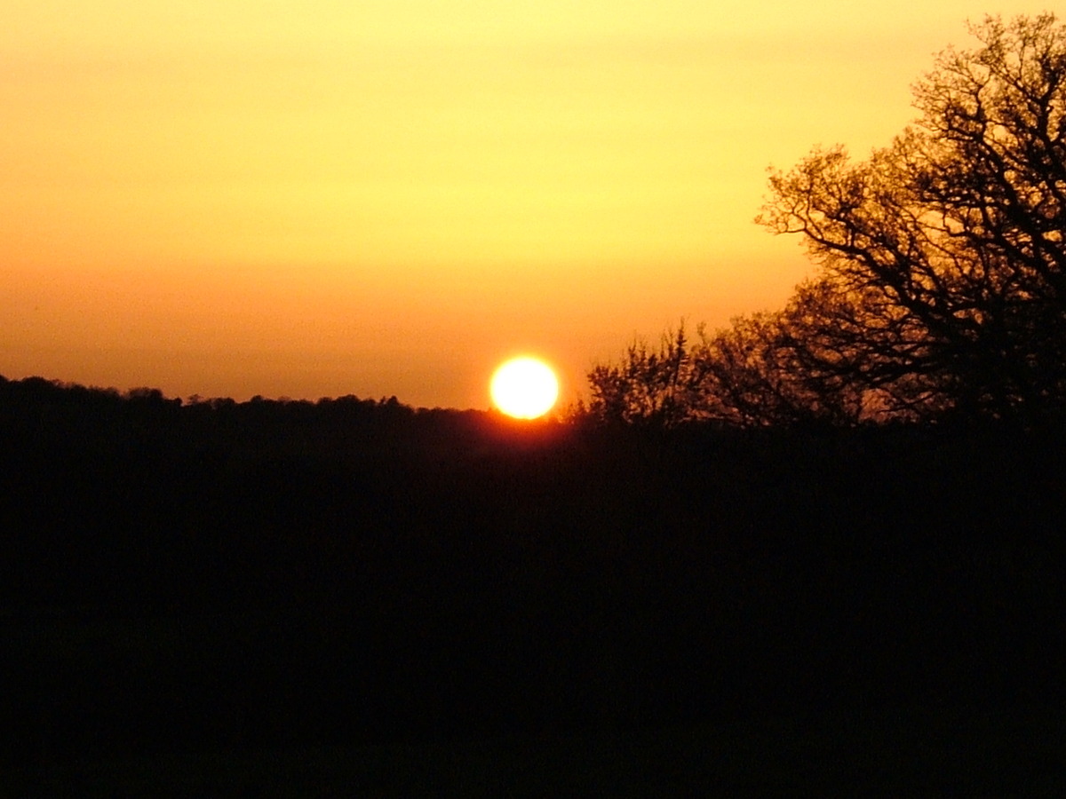 Sundown over Tewin